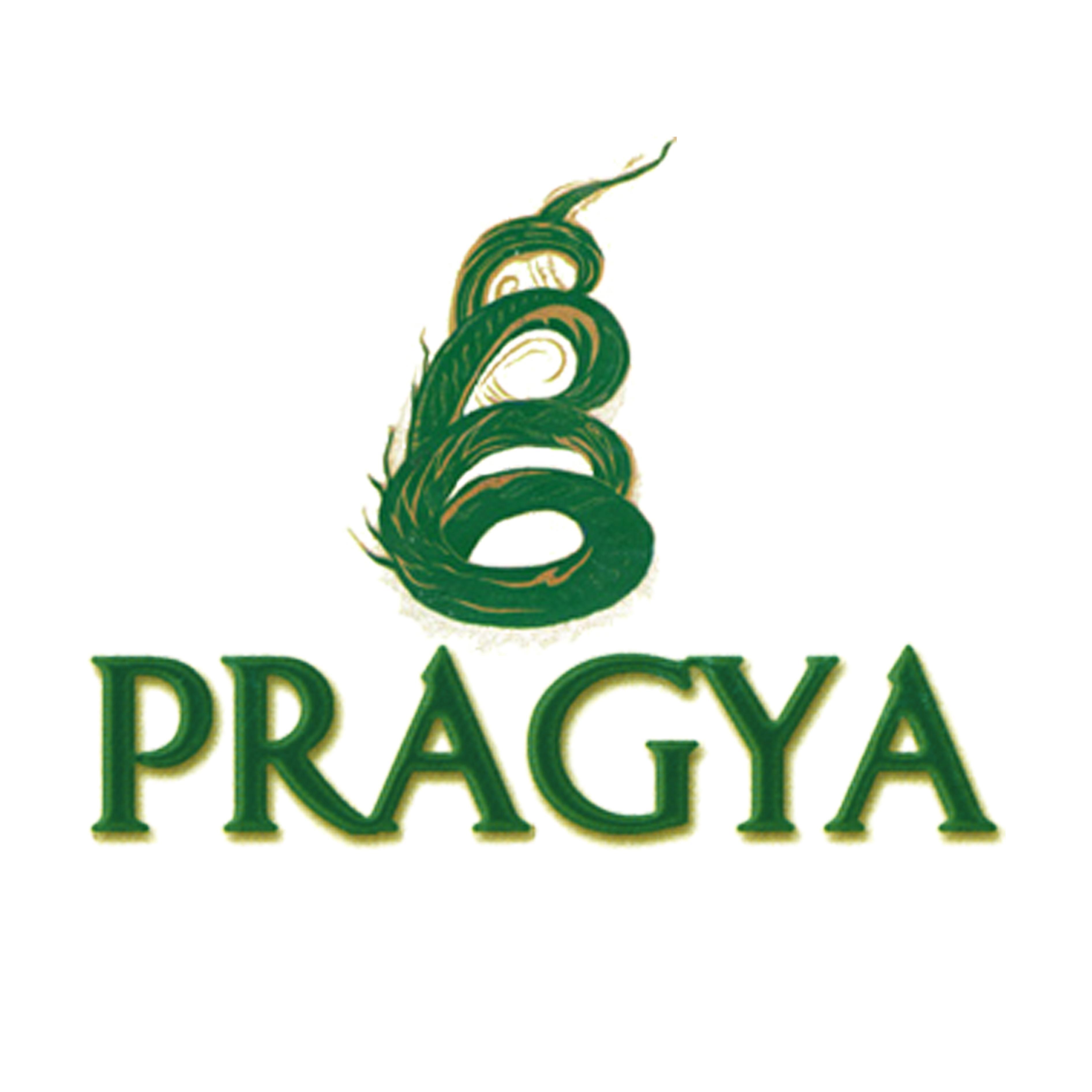 PragyaNGO Profile Picture