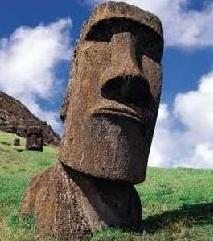 meetcause's profile picture. Searching for the Spark