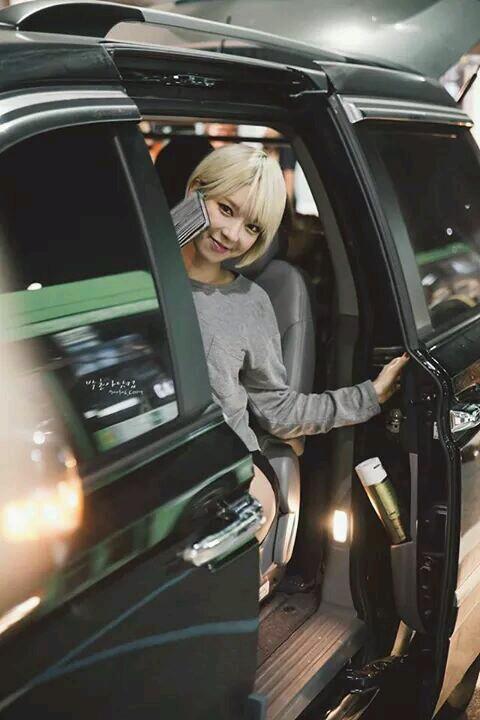 박초아's pard;©1990