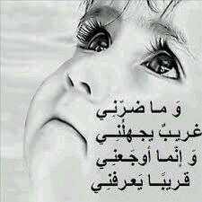 VIn480's profile picture. 