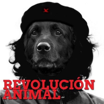animal_revo Profile Picture