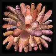 MrBlueyellow's profile picture. 