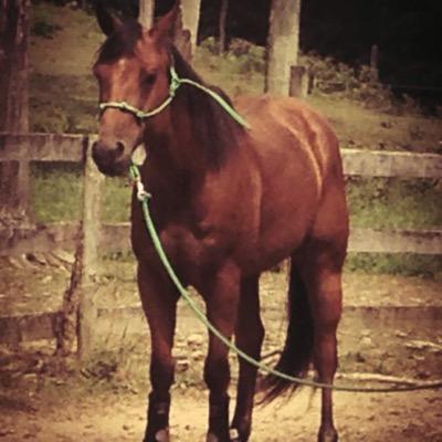 Chrissy Pickering Profile