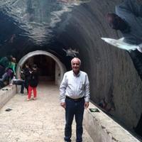 Moh'd Sharif Abu Rub (@mohdaburub) 's Twitter Profile