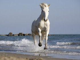 AlqloopQloop's profile picture. ‏‏اذكر الله كل ما قامت تجول
واحمد الله خصنى بحبالها
كنها تمشي على قرع الطبول
فتنة اللي خافقه يبرى لهاhttp://t.co/QGfUr71HCk