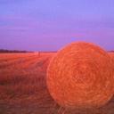 Wayne Garnett - @ausask - Twitter