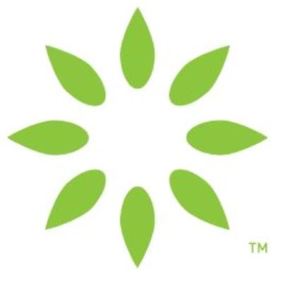 Bamboo framebuilder