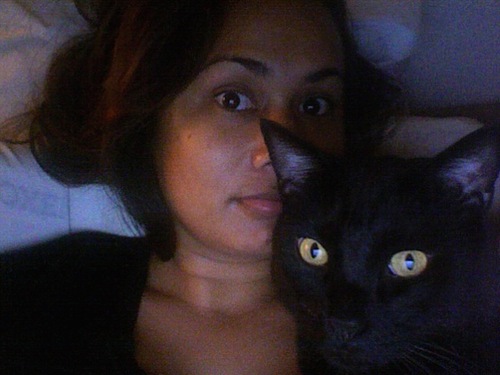 catbeav's profile picture. 