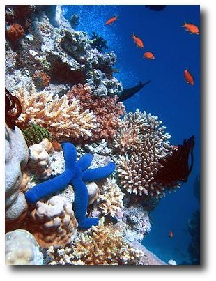 meep53's profile picture. USN Retired and USN veteran, Married for 35 years, 2 daughters, 2 sons-in-law, 4 grandkids, He is retired, I am not (yet)