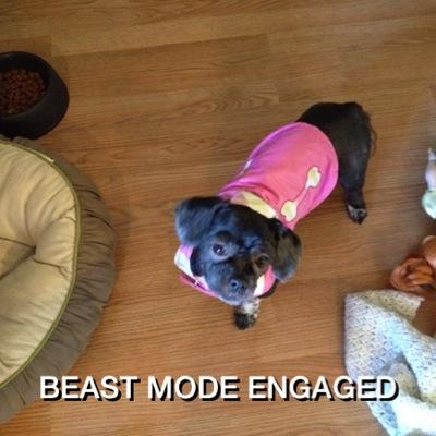 Garrett406's profile picture. 