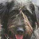 Denise Stead - @zetycael - Twitter