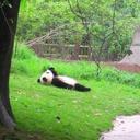 Andy Bennett - @BianchiBennett - Twitter