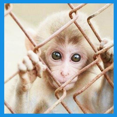 aoiezwb's profile picture. 2023/4/2解散
【Yamakatsu 】Yuly(赤)
　　　　　　　　　　　　生涯神推し
（Yamakatsu）岡村百華（オレンジ）推し