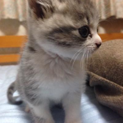 tmrevolution453's profile picture. LJK（＾＿＾）☆
next spring→山短