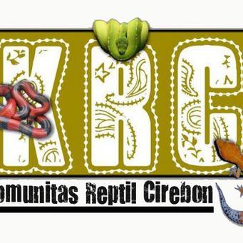 Lindungi dan Lestarikan Reptil