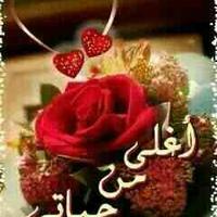 محمودمصرالاسكندريه (@abonagham43gma1) 's Twitter Profile