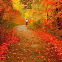 봄  여름  가을 겨울 (@ash560325) 's Twitter Profile