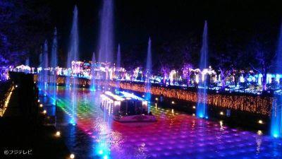 CenterDifflock's profile picture. 