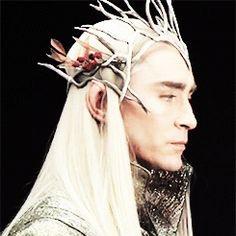 what does the elvenking google?