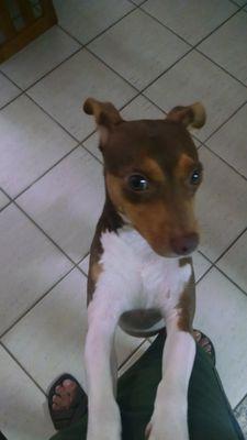 prchristo's profile picture. 