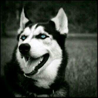 BBM:7E77E123


Snap:khaled070

lnstagram:khaled 070