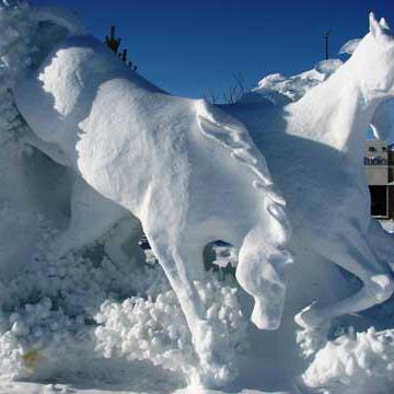 tink8862's profile picture. High school