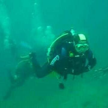 656be05adc5948b's profile picture. 