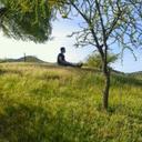 David Celis - @aa586a138ba2474 - Twitter