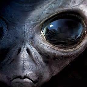 UFOandAlienNews's profile picture. Everyday news about aliens and Ufos , We know that they're out there.But whe are not ready for the truth.