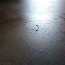 Nicholas Symonds - @nicksymonds85 - Twitter