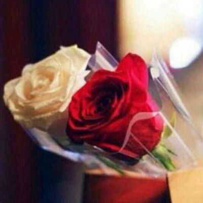 Mobinet63Net's profile picture. 