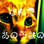 lihyjilozek's profile picture. 相互follow大募集！即日リフォロー致します。