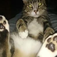 Sue Hughes (@suekatski) 's Twitter Profile Photo Sue Hughes (@suekatski) 's Twitter Profile Photo