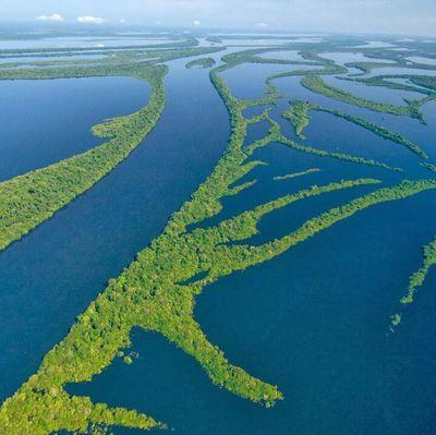 amazonpowerbiz's profile picture. 