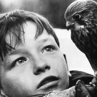 British Cinema (@britishcinema) 's Twitter Profile