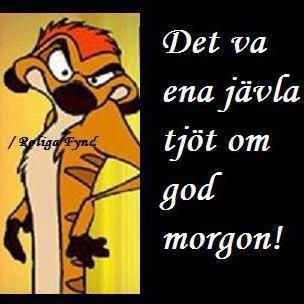 70+, tålmodig arbetsmyra som numera är pensionär. 🇸🇪 först!
