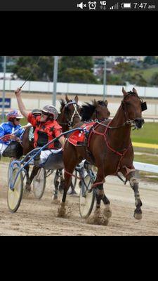 trainer and driver of pacers