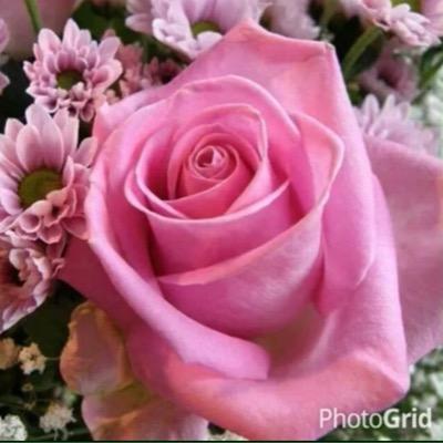 لآ تعآتب آحد لمْ يسأل عنك ..!! . عآتب نفسك لماذا تفگر بـِه . . ❤️