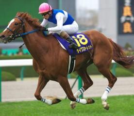 競馬、サッカー、サザン、SEAMO、倖田來未、スワローズ、あいみょん！後は全て下ネタ…子育て奮闘㊥セックスレス