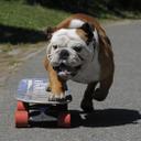 Sonia Coyle - @soniacoyle - Twitter