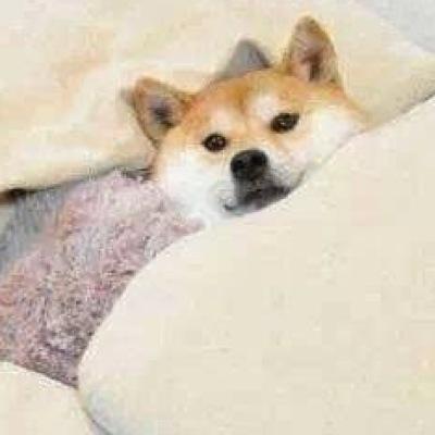 どこに魔法があるかな…