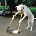 Robinson Rodríguez - @RobinsonTomas31 - Twitter