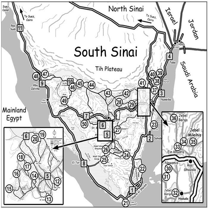 DiscoverSinai's profile picture. Adventures in the Sinai Peninsula: hiking, trekking, camel and 4x4 safaris. Routes in Google Maps, thousands of photos, and a guidebook.