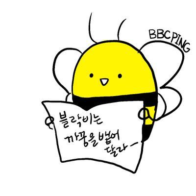 BBC핑핑핑さんのプロフィール画像