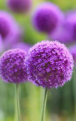 emmeeger's profile picture. 