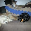 Rachel Wild - @mommiewild02 - Twitter