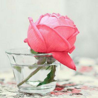 @blueroses83s
