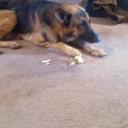 Bryan Fitzgerald - @bryanfitzgera13 - Twitter