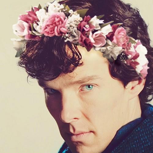 Fangirl :)