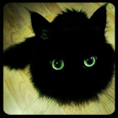 他の誰でもない自分